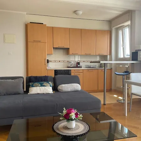 Appartement Specious In Down With View Lausanne